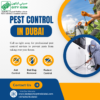 Pest Control in Dubai