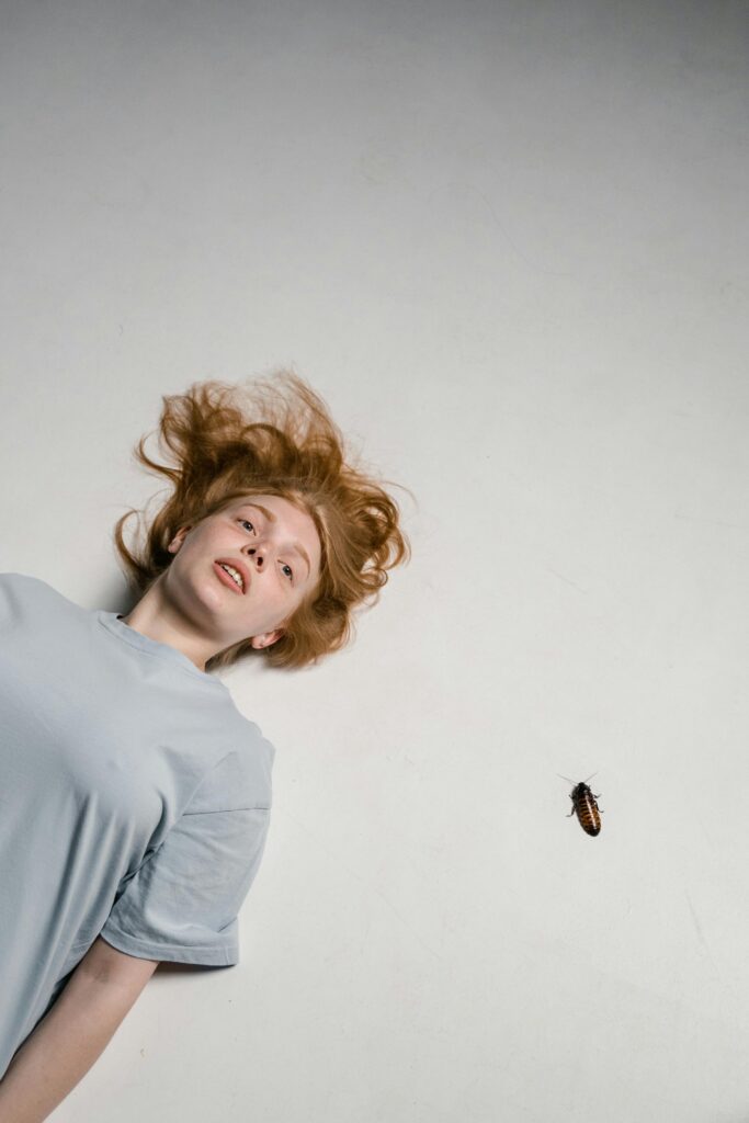 Cockroaches in Dubai homes