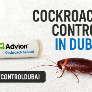 advion cockroach gel bait in dubai