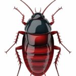cockroach pest control