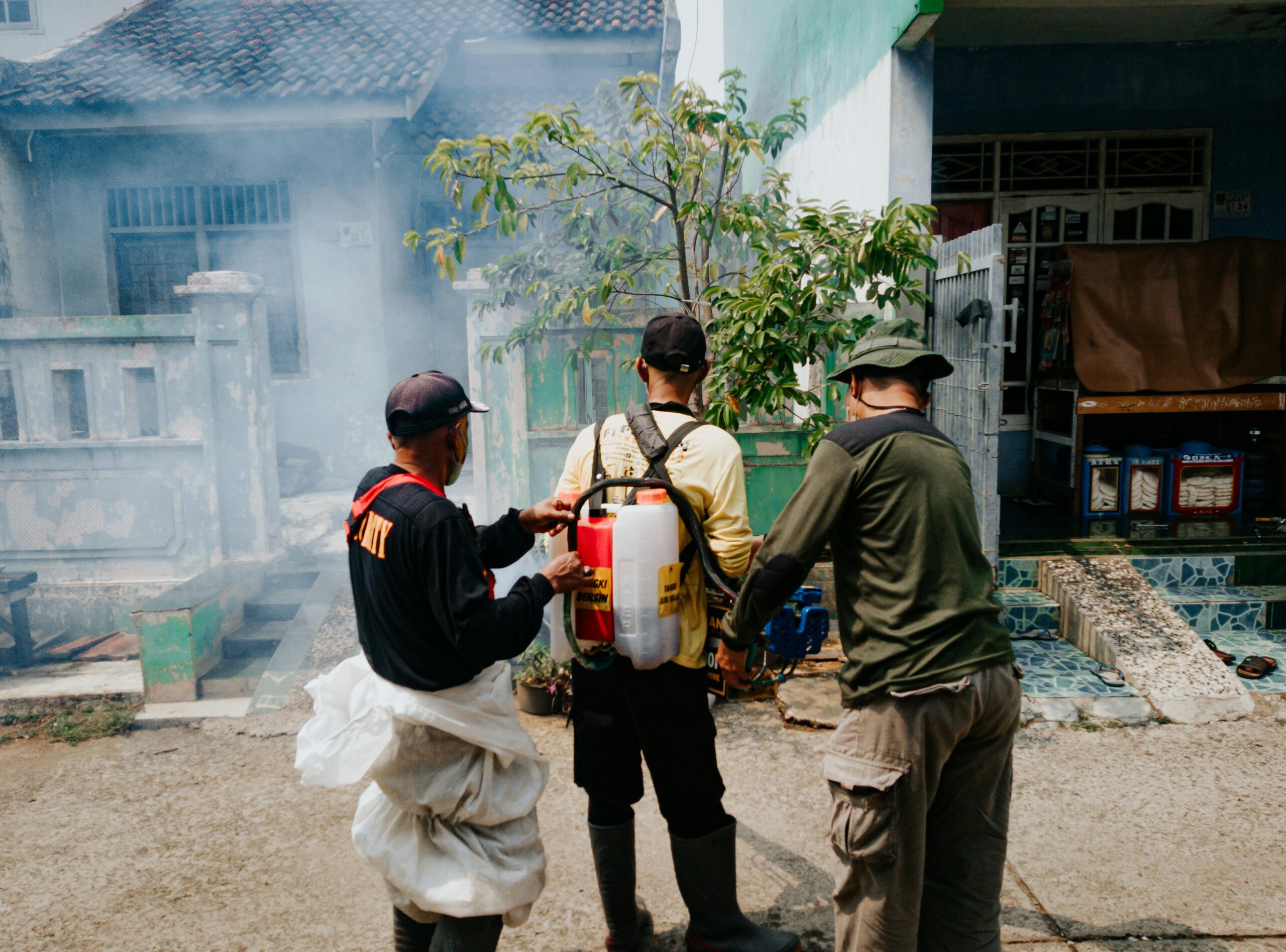Best Pest Control in Dubai 